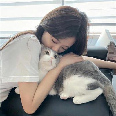 爱情傻瓜