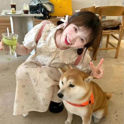 怪怪屋